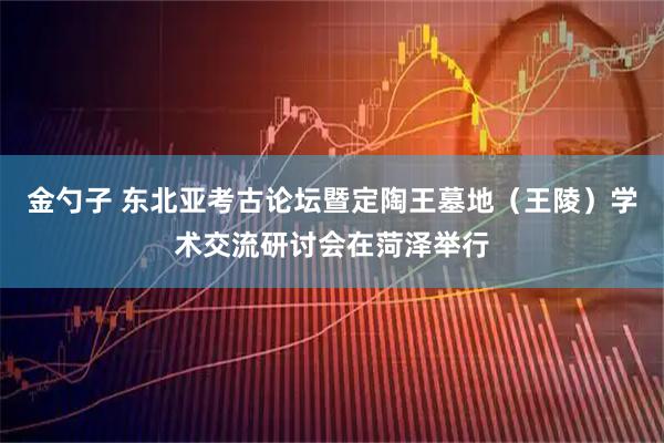 金勺子 东北亚考古论坛暨定陶王墓地（王陵）学术交流研讨会在菏泽举行